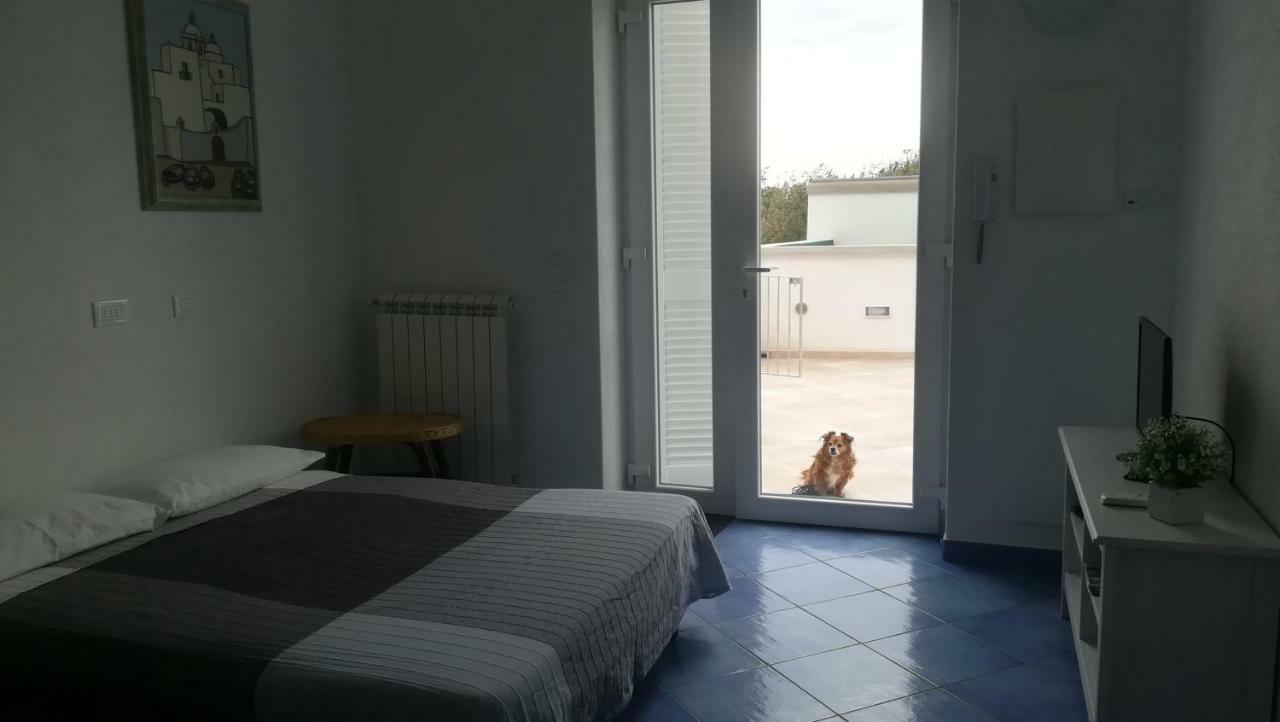 Citara Mare Βίλα Forio di Ischia Εξωτερικό φωτογραφία